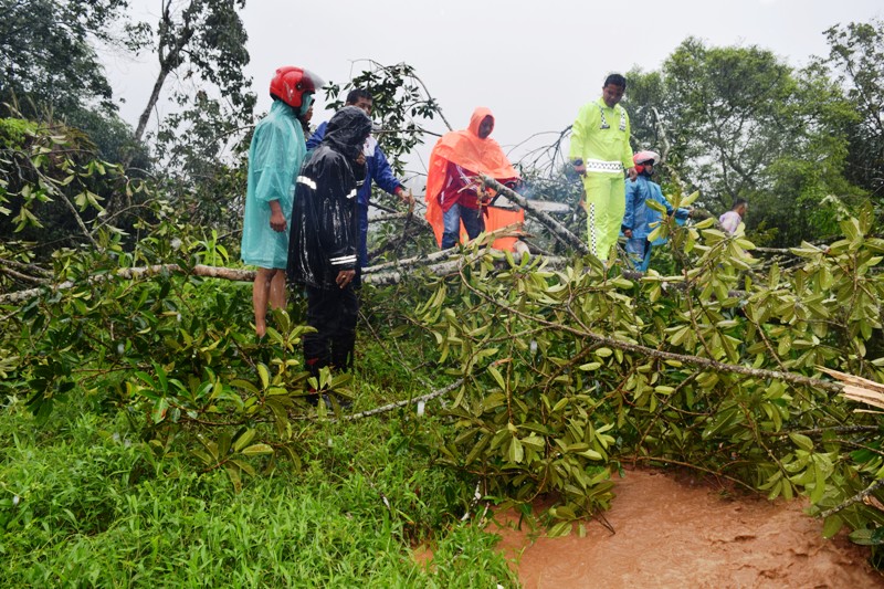 Bupati Irfendi ikut membantu memotong kayu menutup akses Sumbar-Riau